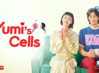 Yumi's Cells